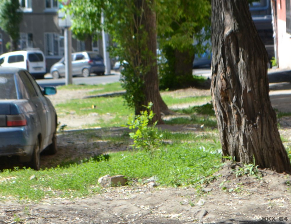 В Саратове начали выписывать штрафы за парковку на зелёной зоне. Поможет ли это в борьбе с автохамами?