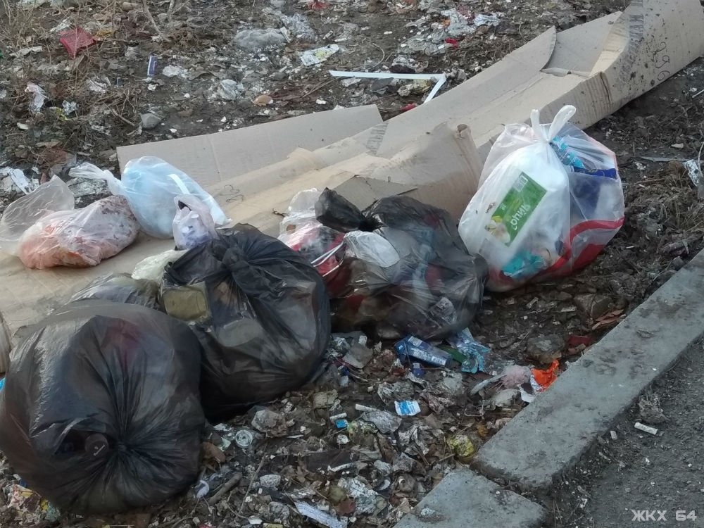 В Заводском районе до сих пор не решена проблема с мусором